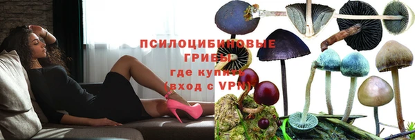 эйфоретик Алзамай