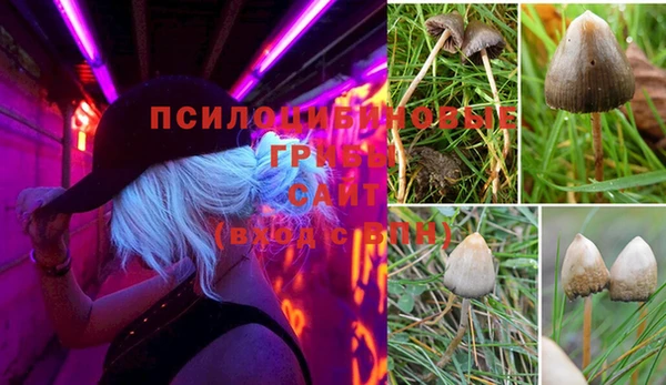 эйфоретик Алзамай