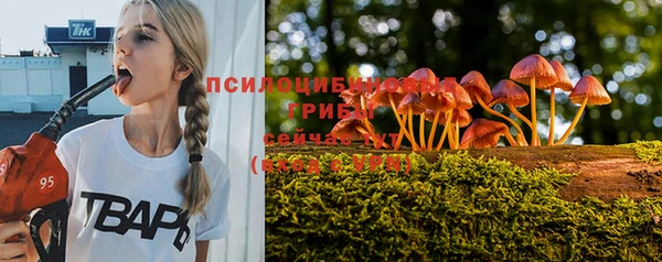 кокс Алексеевка