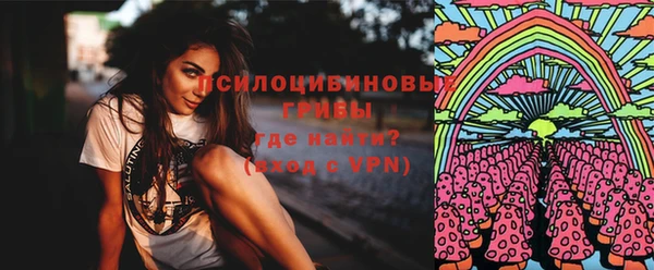 эйфоретик Алзамай