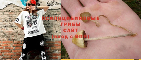 эйфоретик Алзамай